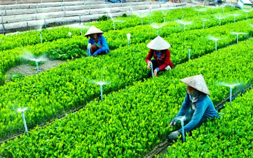 Giới thiệu về thông tư 24/2017/TT-BTC hướng dẫn chế độ kế toán hợp tác xã, liên hiệp hợp tác xã